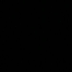 Meet your Posher, Henry